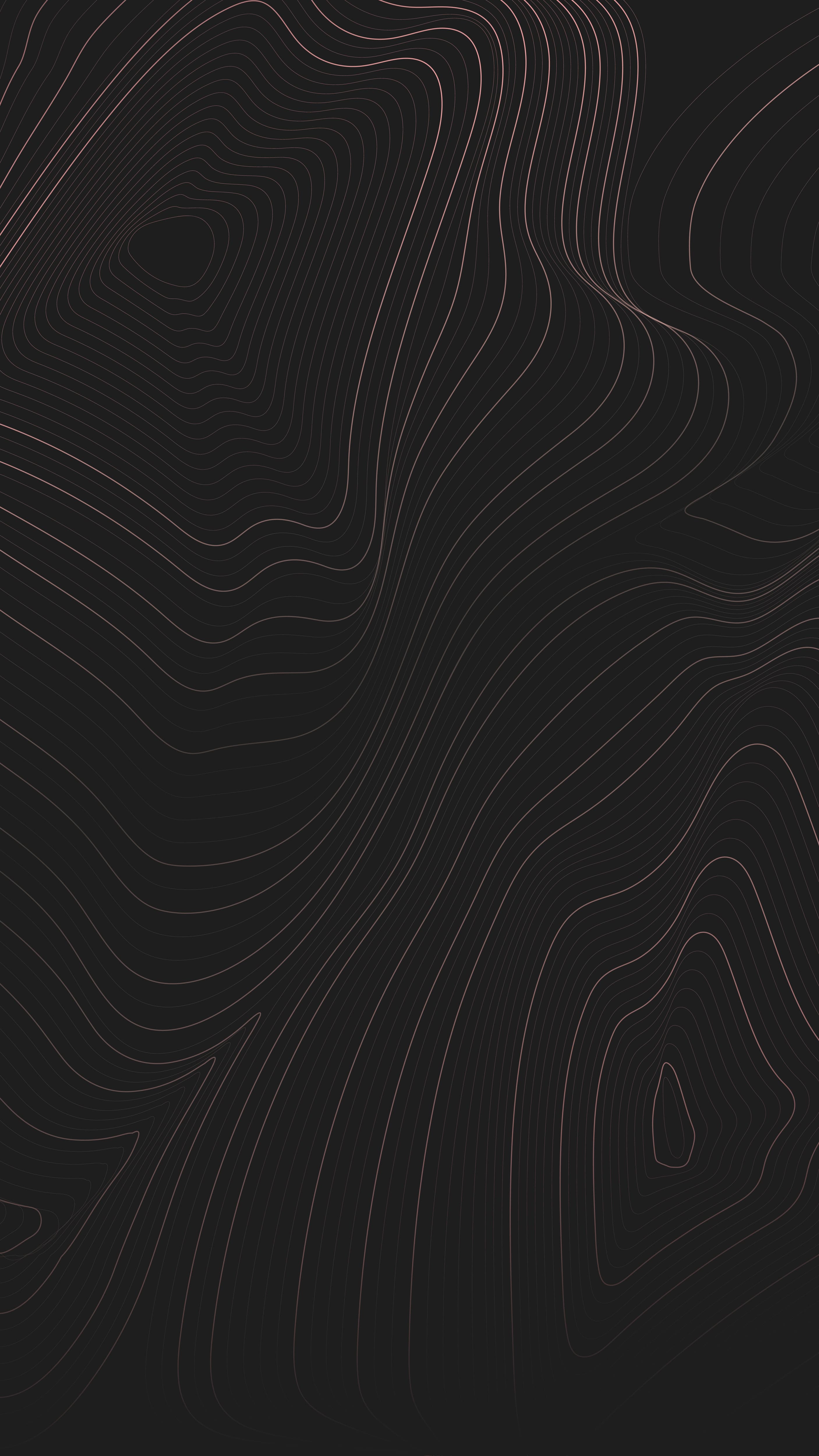 WordPress vs Next.js for Startups: Why Code Architecture Wins in 2026
